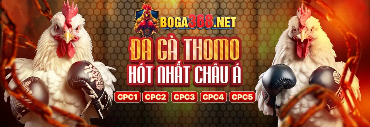 Cá cược thể thao đỉnh cao tại kingbet86pro win